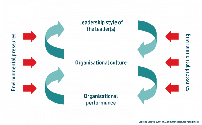 culture performance model